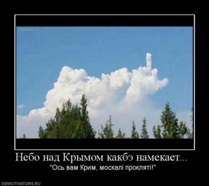 post-2261-0-05280700-1295956764_thumb.jp