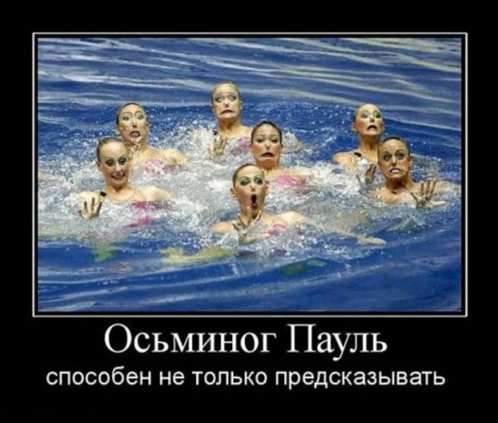 post-2261-0-10118800-1295956754_thumb.jp