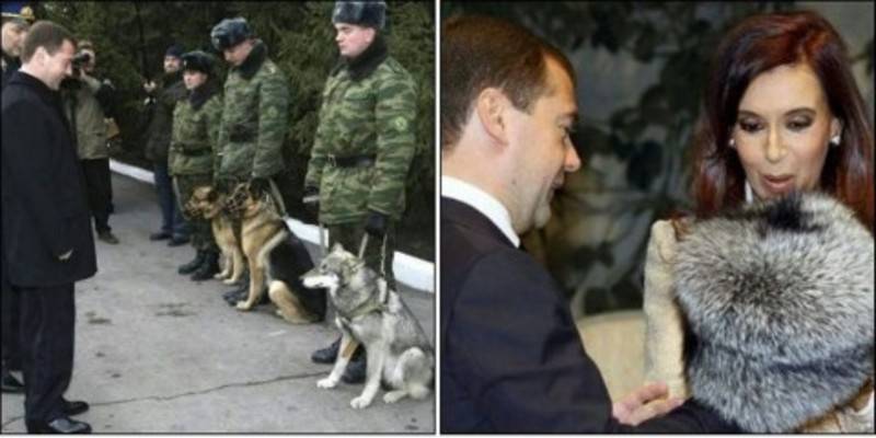 post-2261-0-31290400-1295956790_thumb.jp