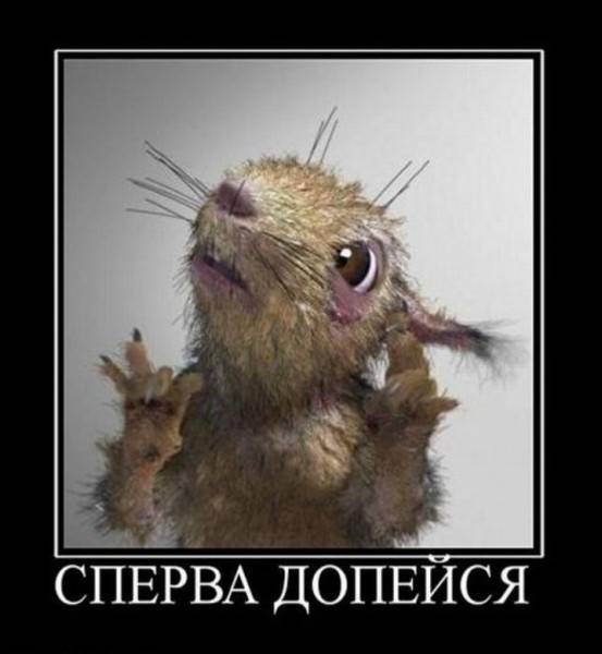 post-2261-0-40822300-1295006176_thumb.jp