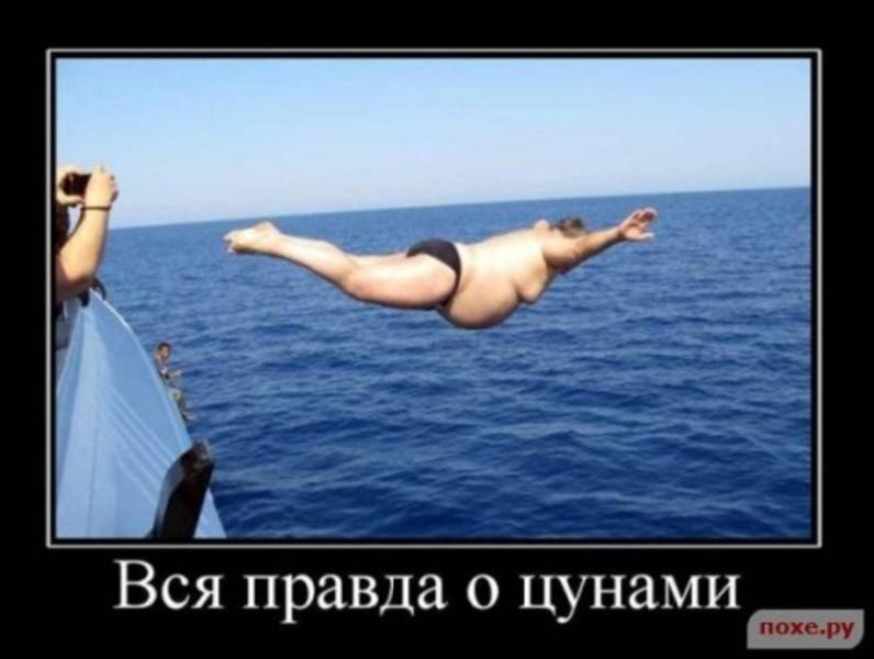 post-2261-0-45807000-1295956740_thumb.jp