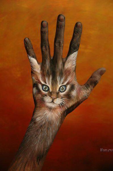 post-4339-0-81215800-1296304734_thumb.jp