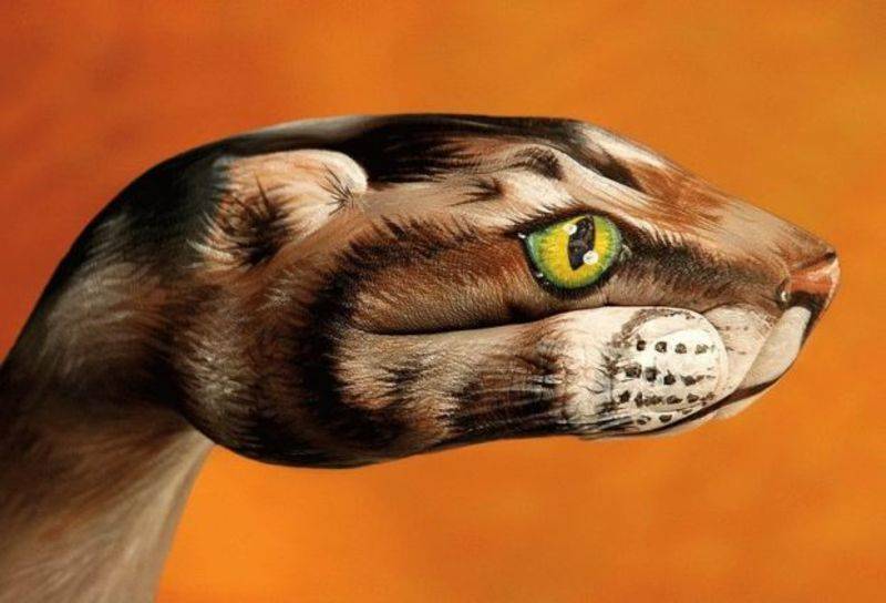 post-4339-0-88382800-1296304759_thumb.jp