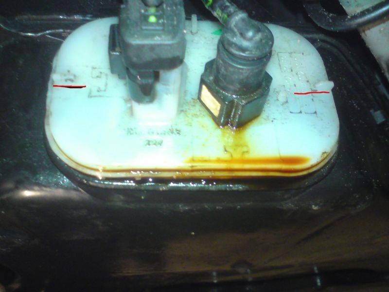 post-6491-0-11206700-1294774398_thumb.jp