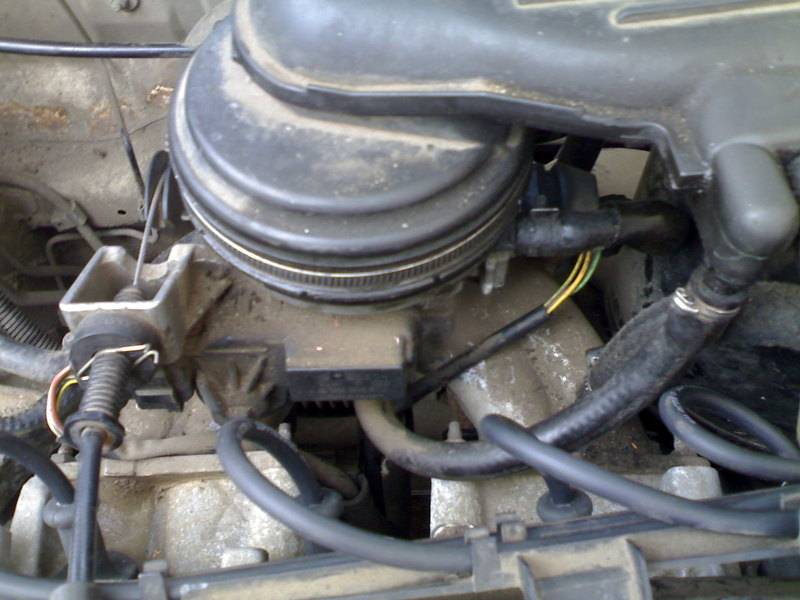 post-8182-0-80391800-1296219247_thumb.jp