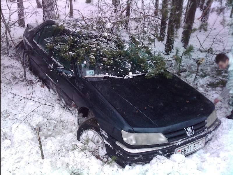 post-12869-0-62185000-1327153823_thumb.j