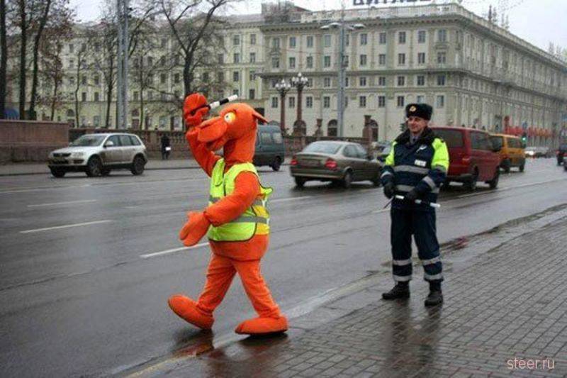 post-7159-0-32288200-1328011418_thumb.jp