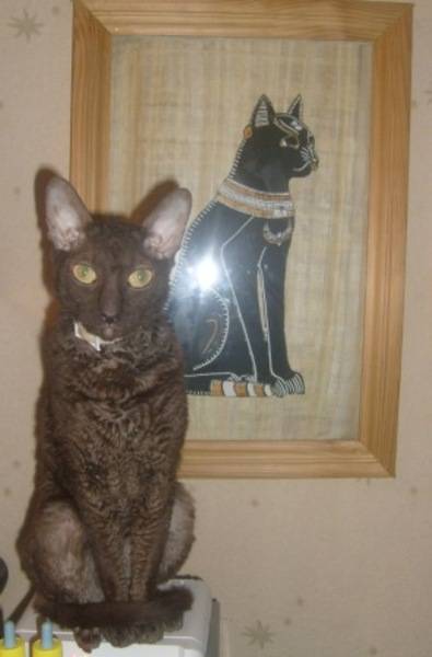 post-7705-0-58011200-1327929748_thumb.jp