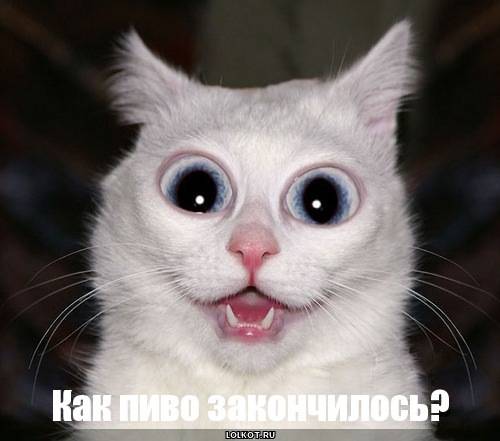 post-1647-0-15914100-1358332992_thumb.jp