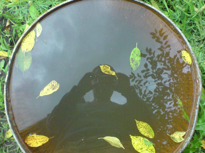 post-1647-0-29583500-1358852210_thumb.jp