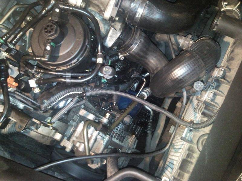 post-16906-0-52067800-1357567126_thumb.j