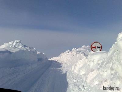 post-21995-0-21110000-1358538342_thumb.j