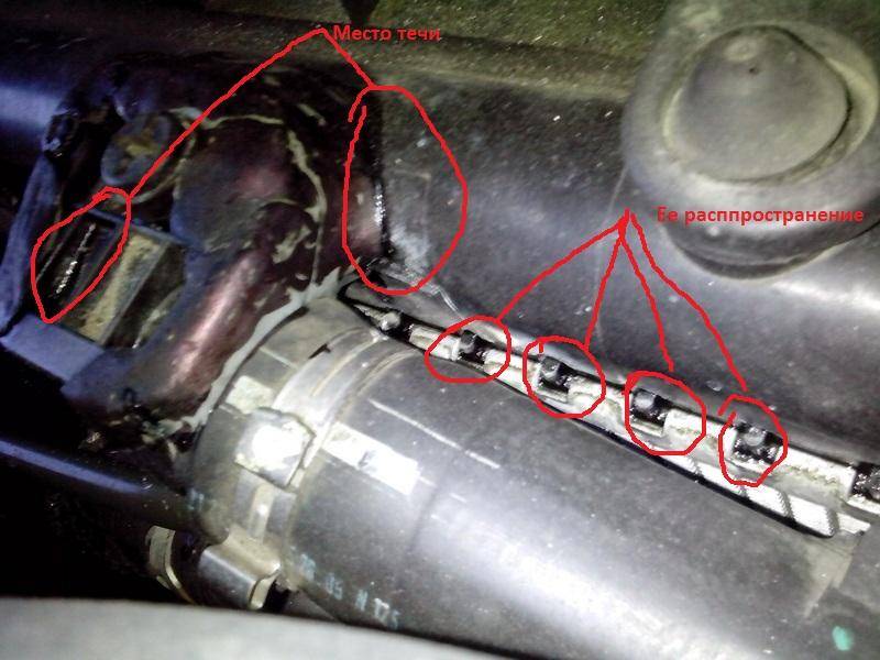 post-8550-0-36657500-1358878566_thumb.jp