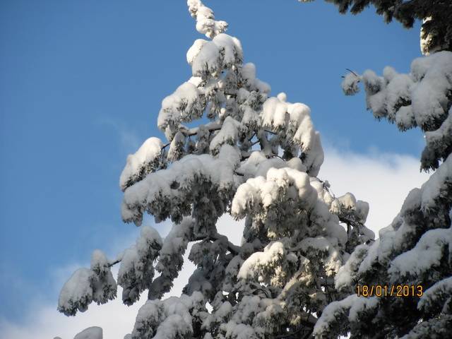 post-8795-0-75100700-1359307446_thumb.jp