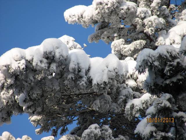 post-8795-0-77594500-1359307455_thumb.jp