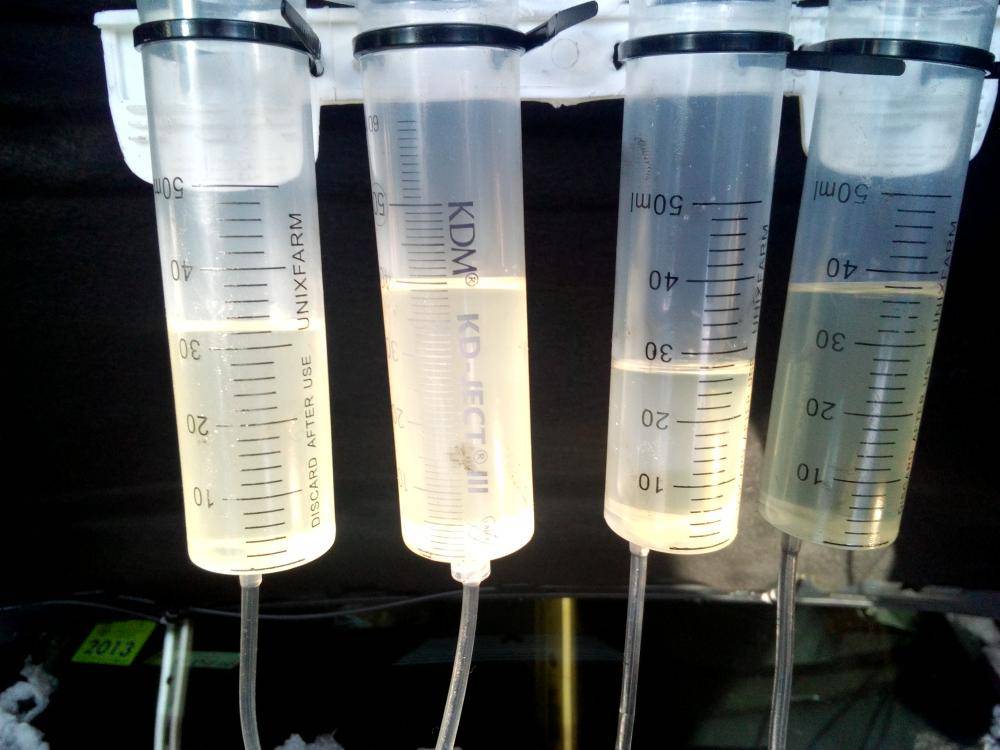 post-19559-0-13866100-1453922905_thumb.j