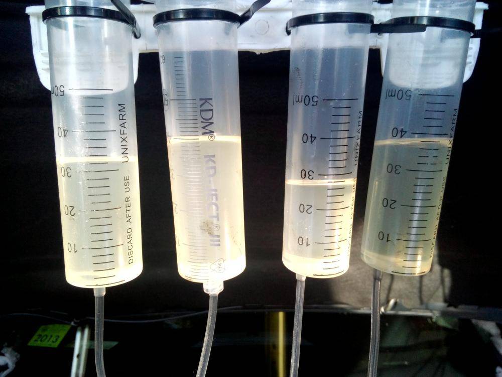 post-19559-0-40566500-1453923093_thumb.j