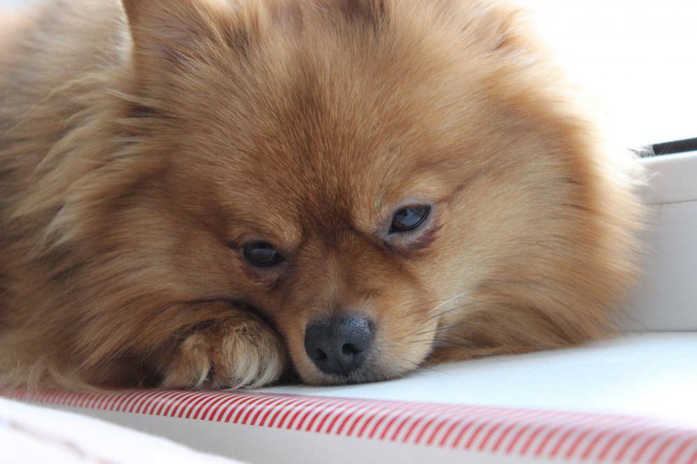 post-3457-0-33194600-1452173052_thumb.jp