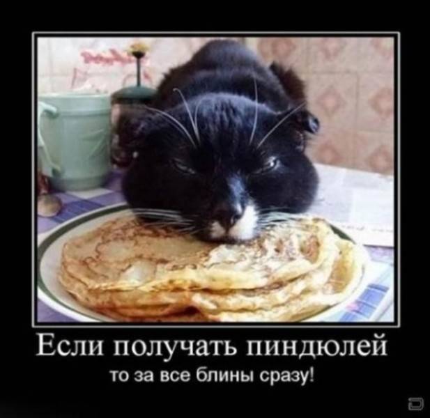 post-2261-0-60367900-1298020789_thumb.jp