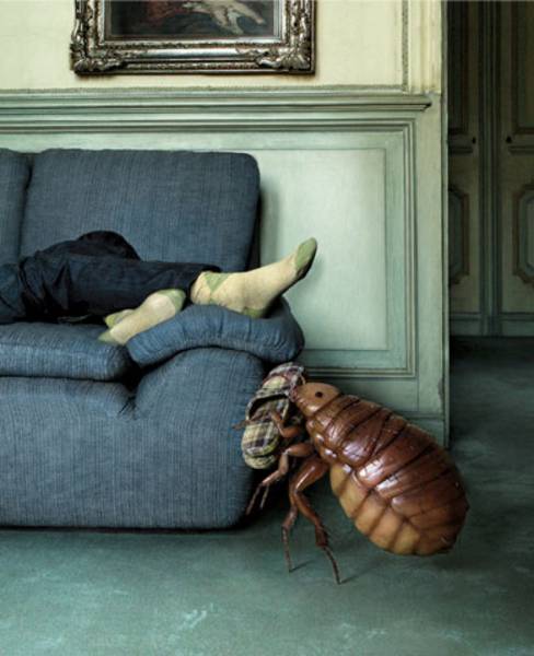 post-4339-0-16688800-1296843843_thumb.jp