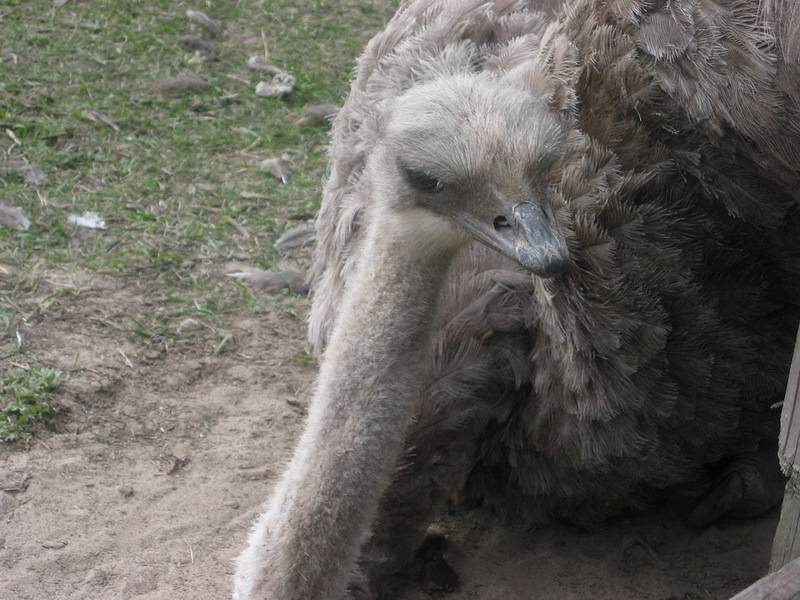 post-6965-0-86624600-1297682985_thumb.jp