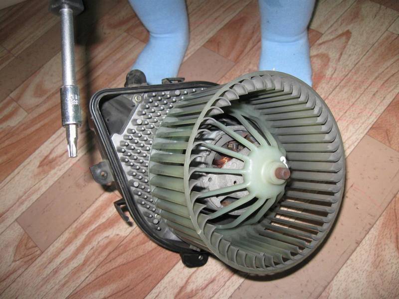 post-9068-0-95817700-1298839110_thumb.jp