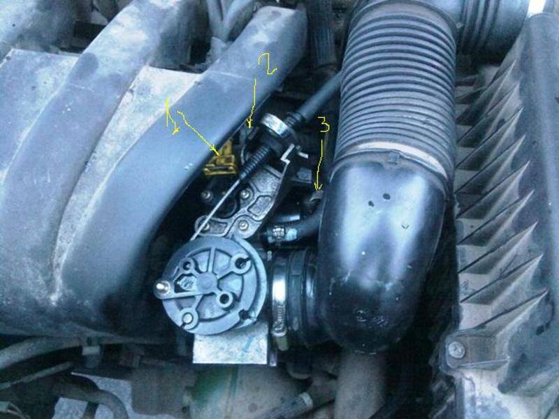 post-3523-0-48734900-1330364162_thumb.jp