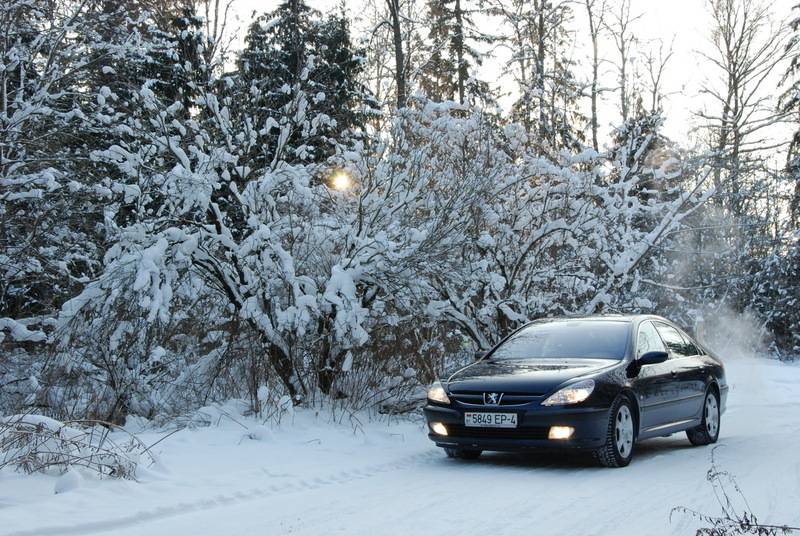 post-5288-0-41106200-1328381203_thumb.jp