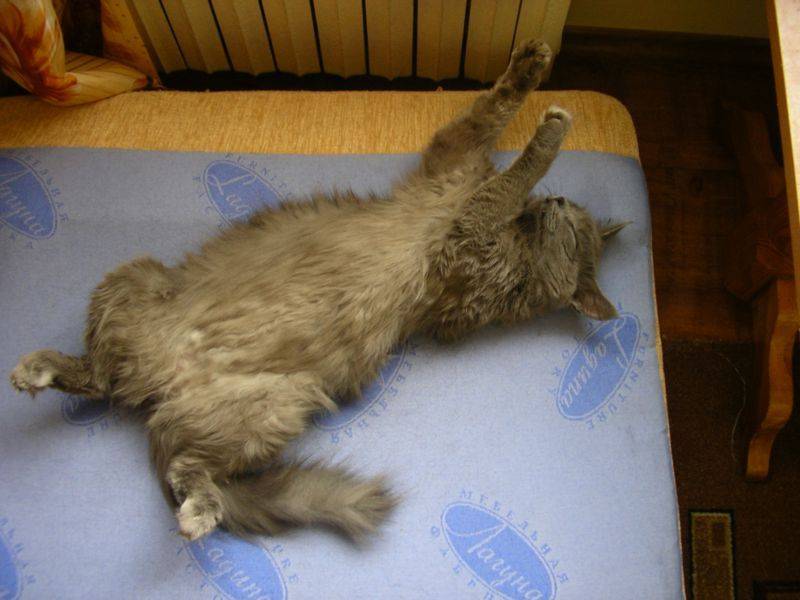 post-9790-0-32025100-1328163391_thumb.jp