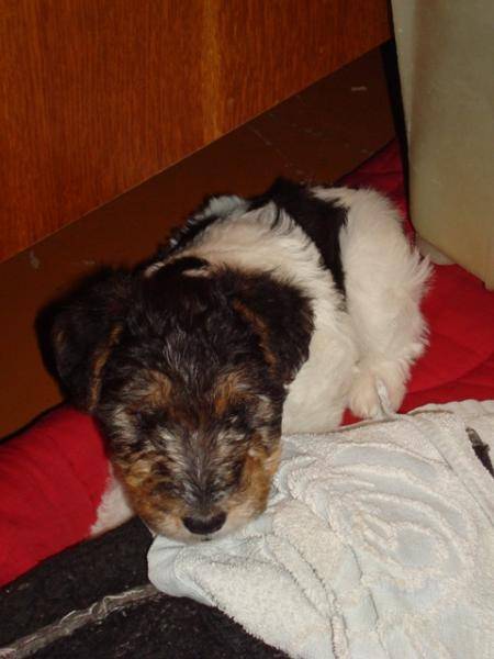 post-11711-0-41168200-1359729044_thumb.j