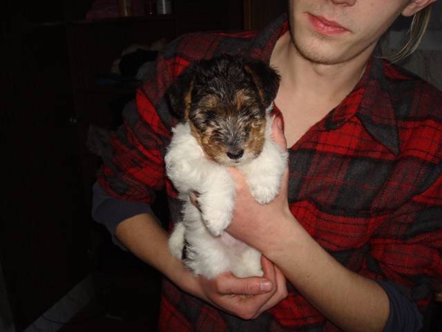 post-11711-0-88346900-1359729070_thumb.j