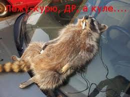 post-1513-0-41062000-1361943622_thumb.jp