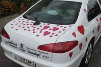 post-17939-0-79813400-1360237557_thumb.j