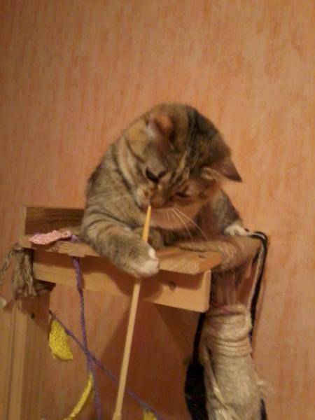 post-3285-0-79414300-1391441215_thumb.jp