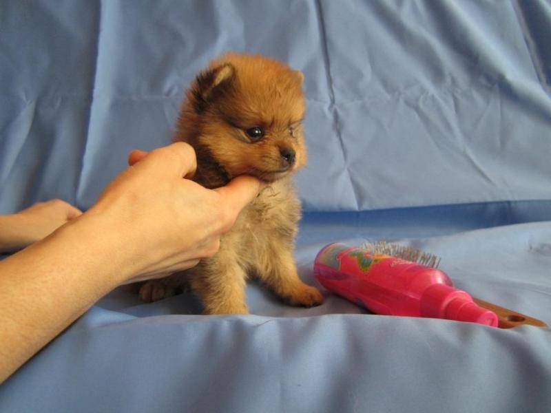 post-3457-0-26919600-1391419112_thumb.jp