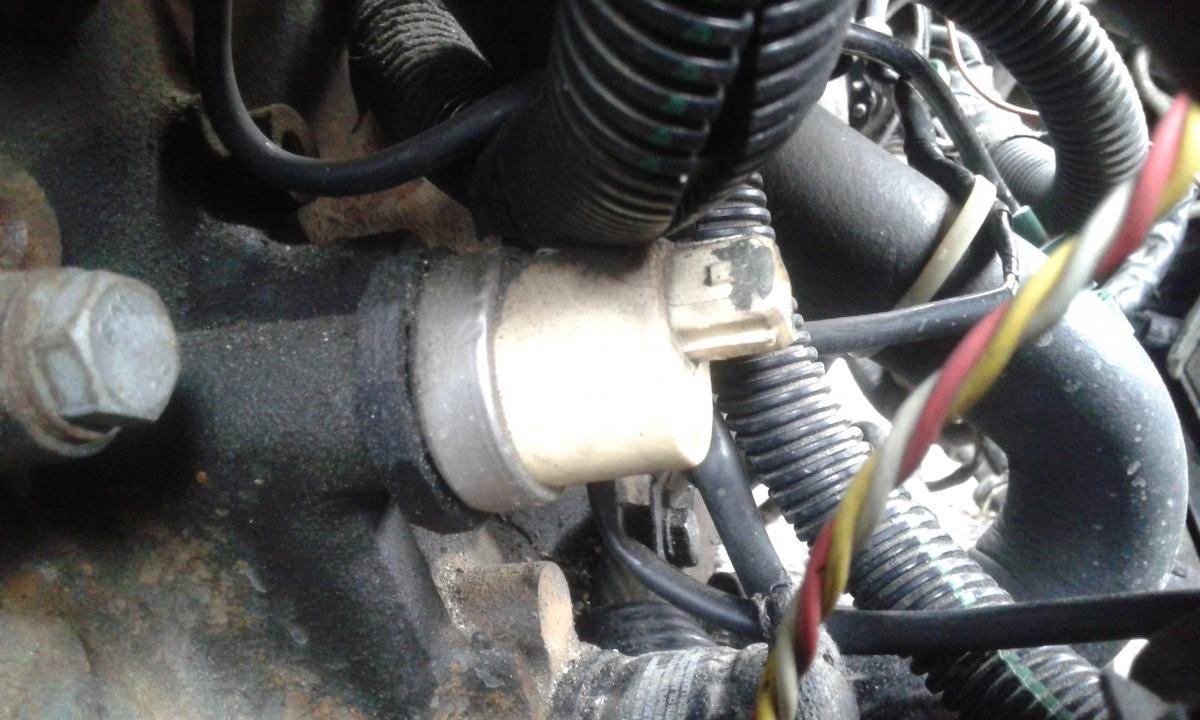 post-37707-0-32375100-1424927398_thumb.j