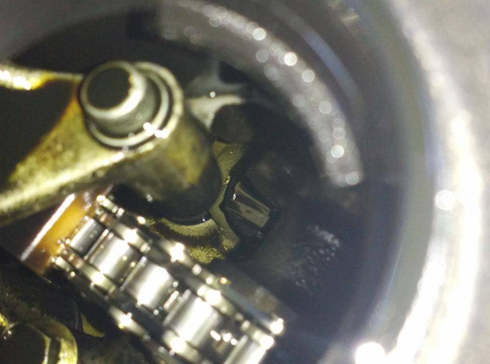 post-16906-0-10189200-1454768229_thumb.j