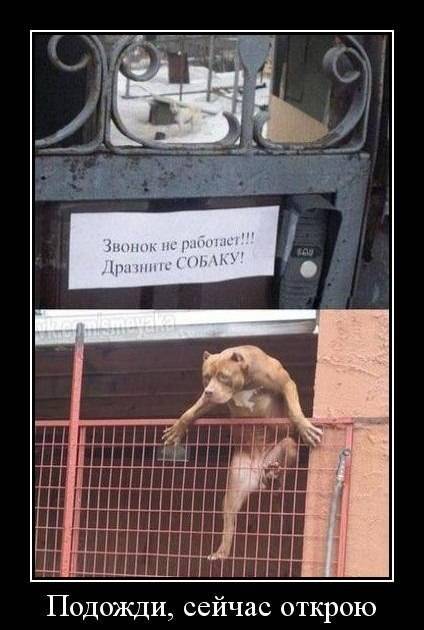 post-17499-0-12316200-1455272246_thumb.j