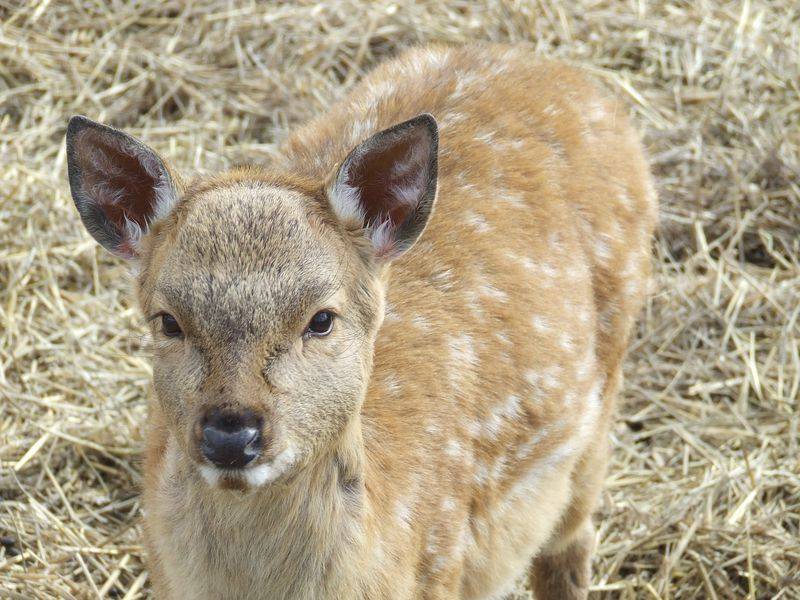 post-1245-0-26533300-1300873722_thumb.jp