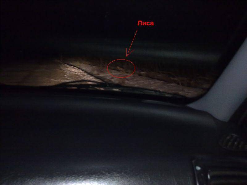 post-1245-0-29026000-1299665998_thumb.jp