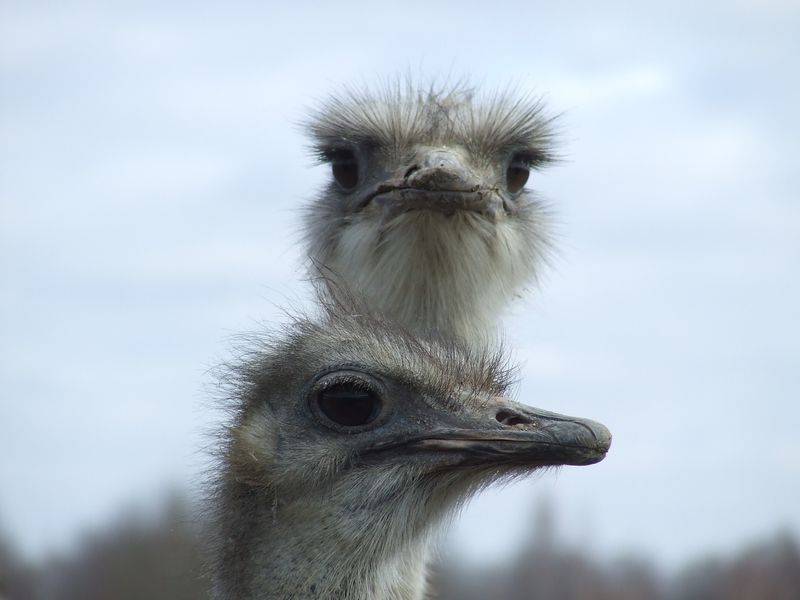 post-1245-0-57359300-1300873679_thumb.jp