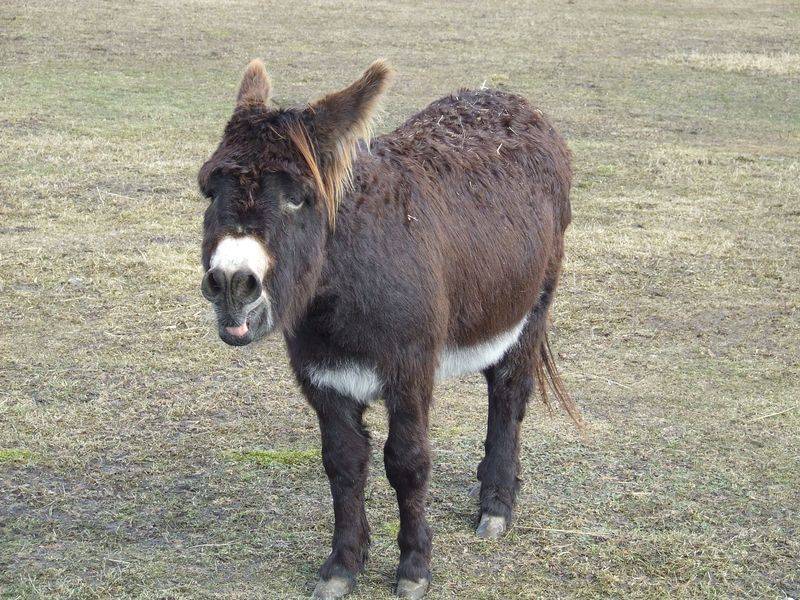 post-1245-0-58036200-1300873683_thumb.jp