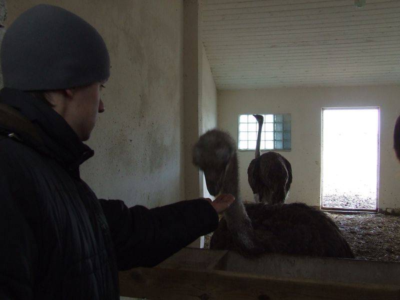 post-1245-0-61200600-1300873665_thumb.jp