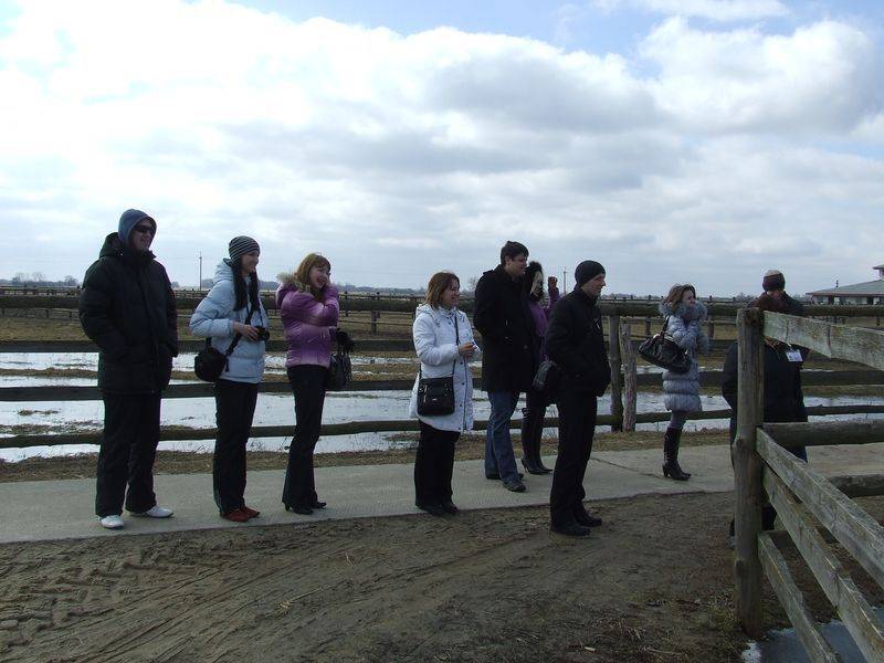 post-1245-0-95086100-1300873680_thumb.jp