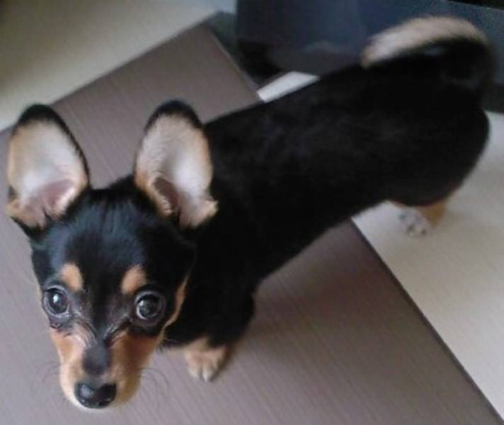 post-3844-0-18840500-1301562724_thumb.jp