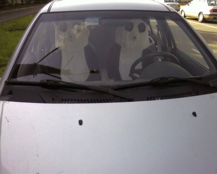 post-8681-0-03983200-1300030371_thumb.jp