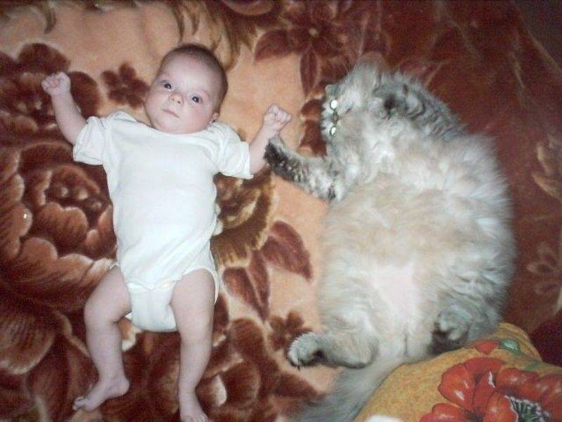 post-8681-0-25001100-1300030372_thumb.jp