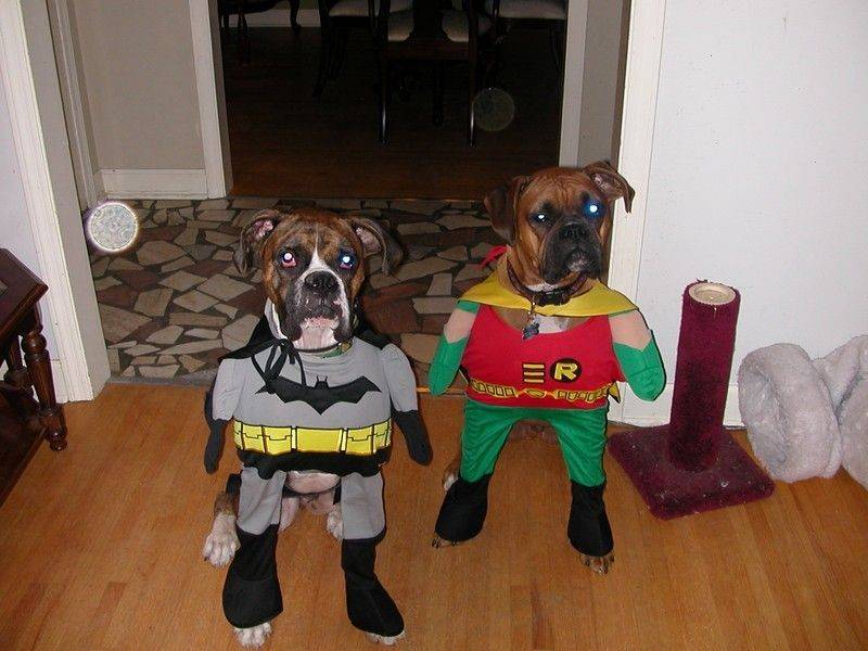 post-8681-0-71146500-1300030632_thumb.jp