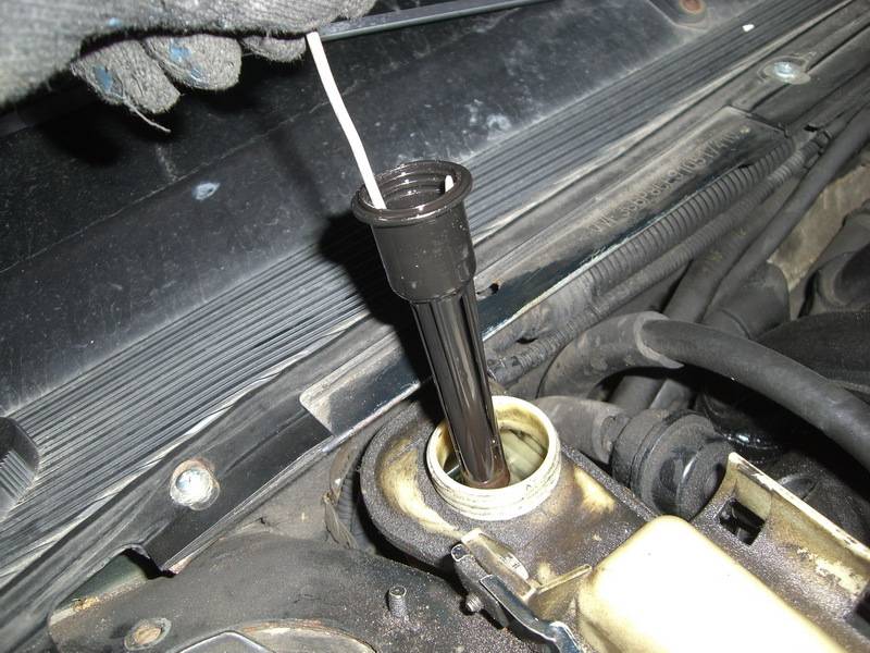 post-10001-0-75663900-1332092535_thumb.j