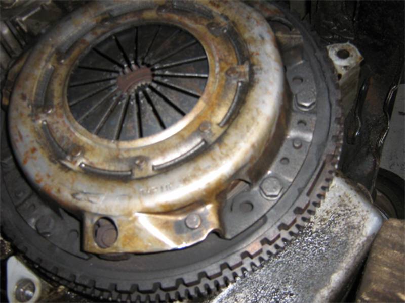 post-16848-0-31556800-1332698346_thumb.j